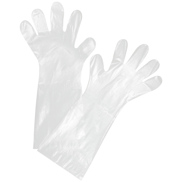 Vorschau: PE-Handschuh L=53 cm transparent online kaufen - Verwendung 1