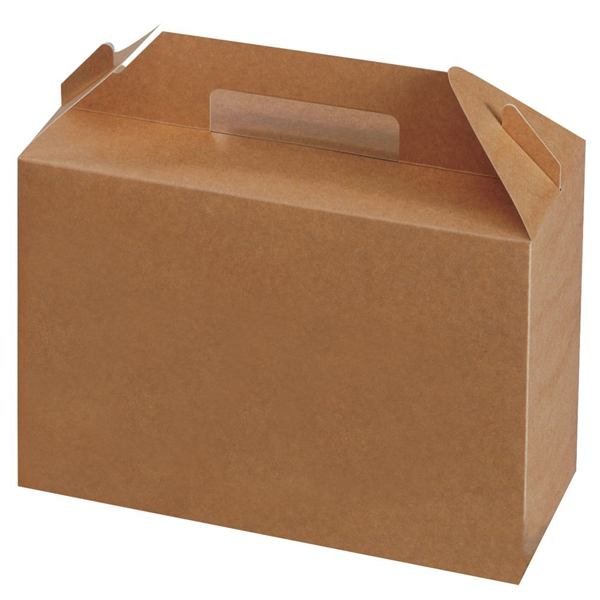 Lunchbox 265 x 128 x 180 mm, mit Griff Lunchbox 265 x 128 x 180 mm, mit Griff