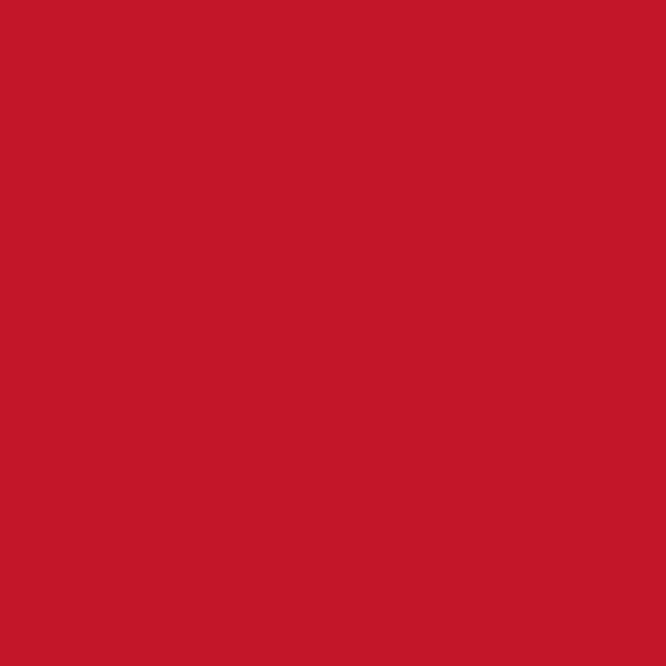 Duni Tissue-Serviette 33 x 33 cm Rot (500 Stück) online kaufen - Verwendung 1