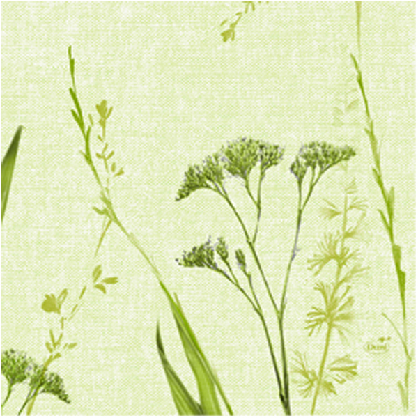 Duni Servietten 33 x 33 cm liz Duni Servietten 33 x 33 cm liz