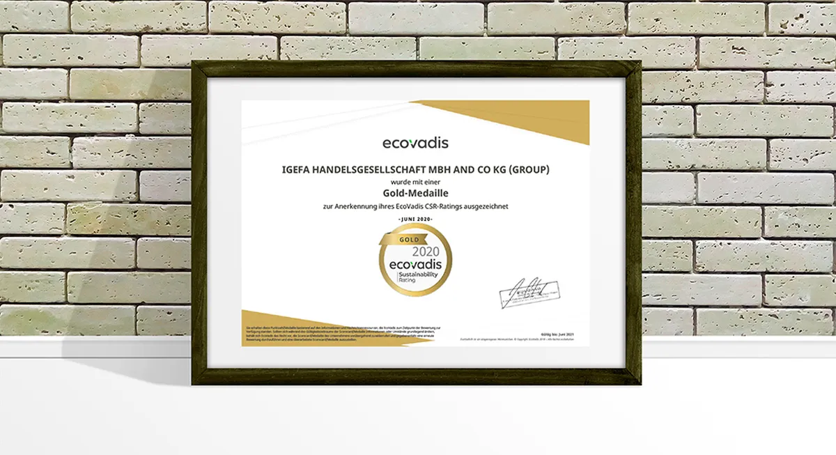 EcoVadis Zertifikat 2020